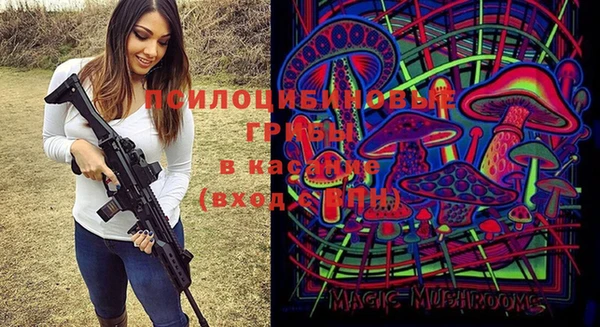 бошки Алзамай