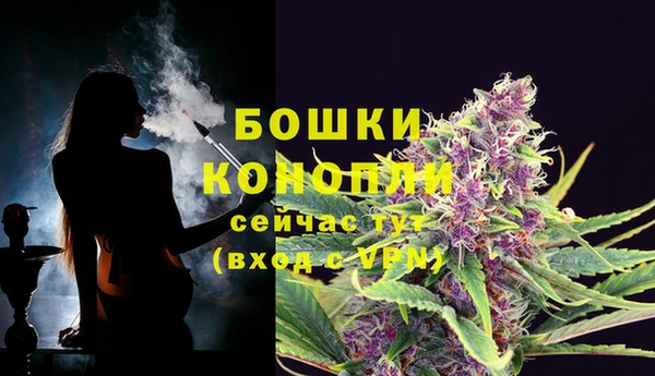 бошки Алзамай